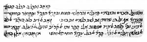   Maimonides' commentary on the Mishnah, Kila'im 1,6, (autograph)